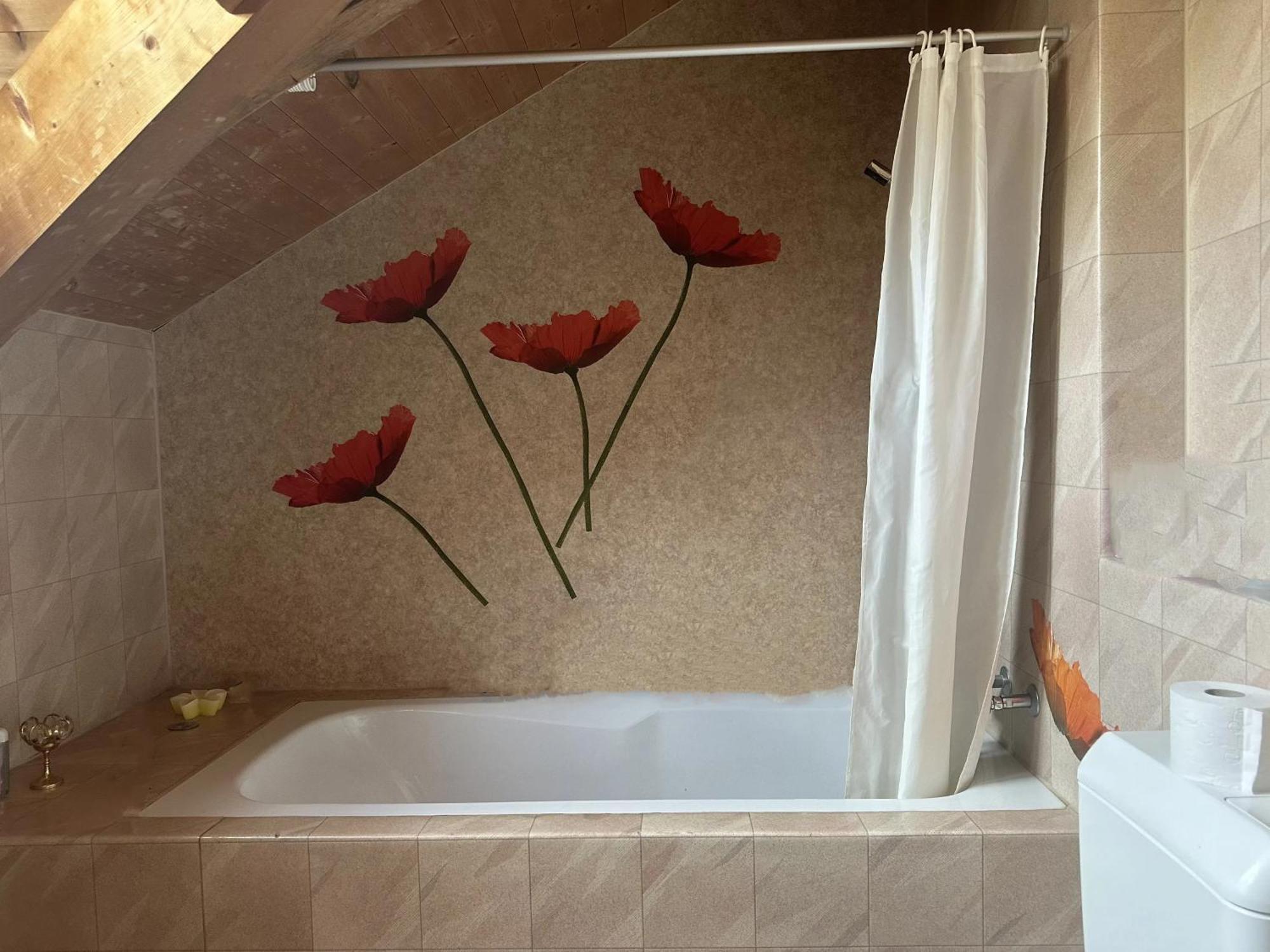 Hotel Schoental Filisur Εξωτερικό φωτογραφία